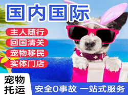 揭阳机场物流国际宠物托运 【国